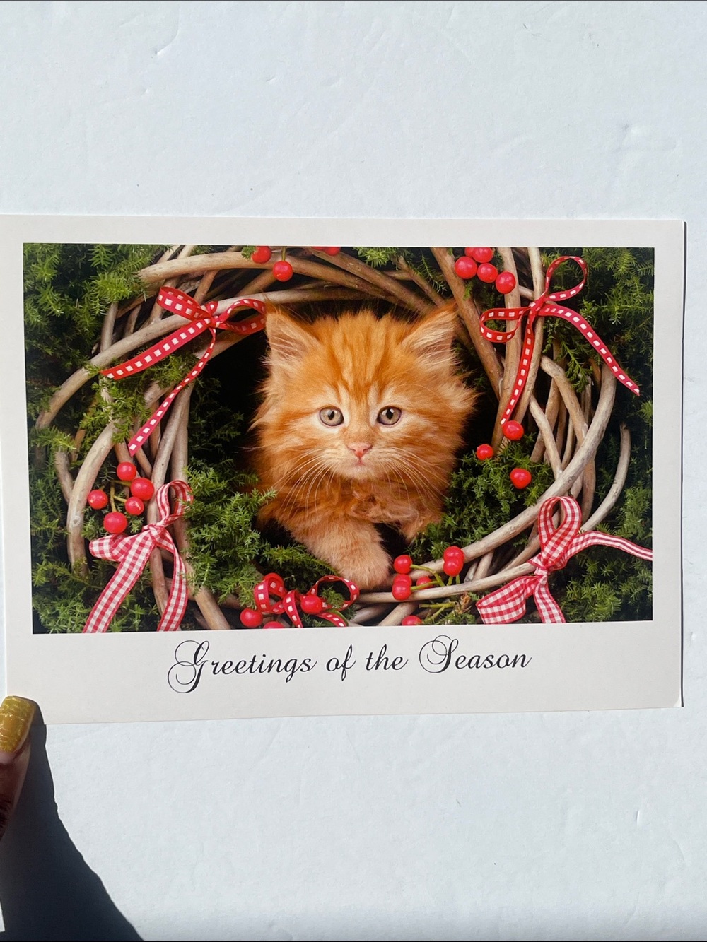 Kitten Christmas Card - Picture 3 of 9